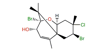 Compositacin J